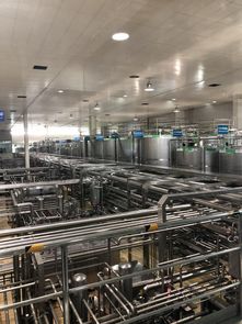 蒙牛工廠迎全球GDP代表參觀，以企業智慧夯實合作共贏之基