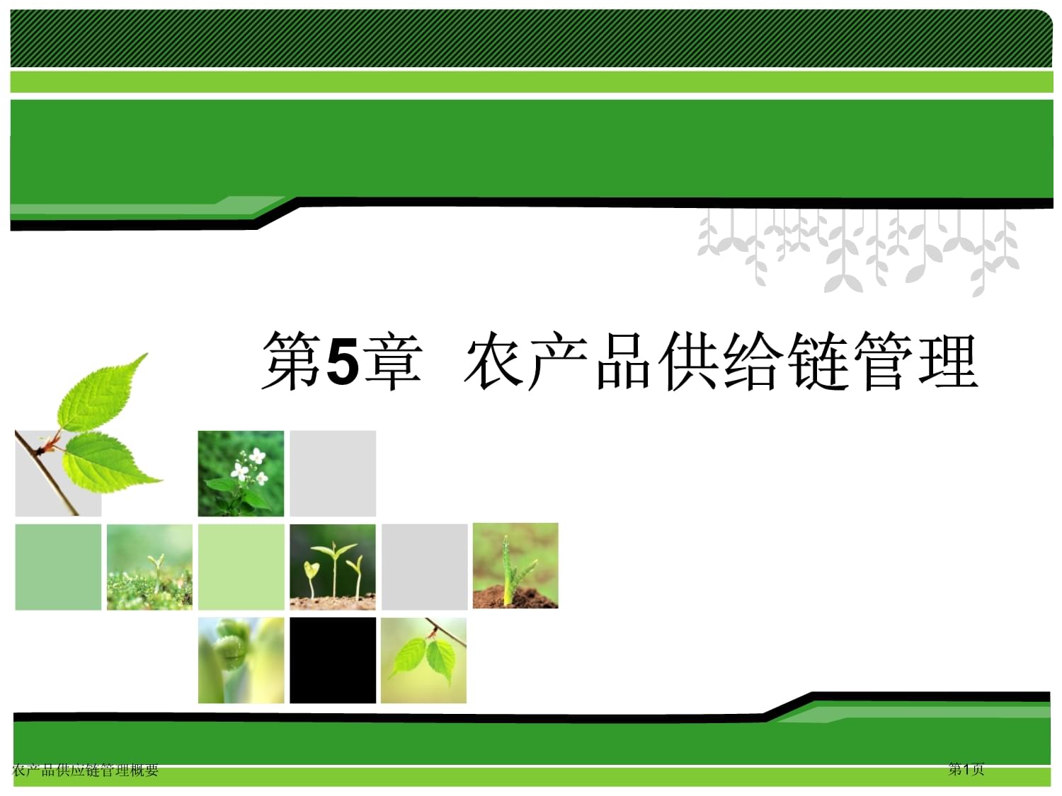 農(nóng)產(chǎn)品供應(yīng)鏈管理服務(wù) 構(gòu)建從田間到餐桌的橋梁